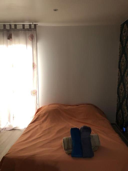 Logement Entier Entree Autonome Ch,Sdd,Cs Privatives オッソンヌ エクステリア 写真