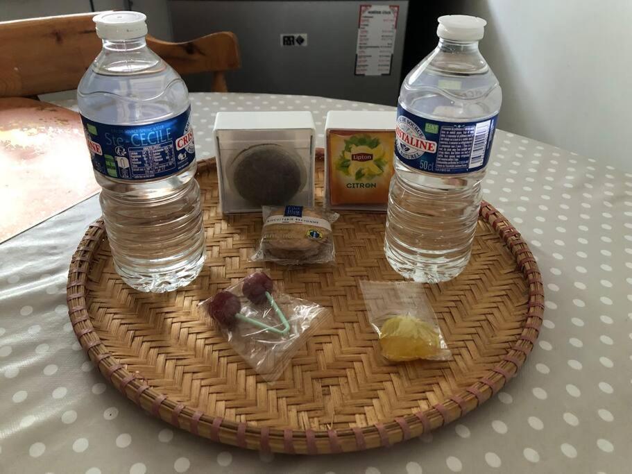 Logement Entier Entree Autonome Ch,Sdd,Cs Privatives オッソンヌ エクステリア 写真